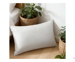 Hot Sale Brushed Cotton Ultra Soft Warm Anti Pilling Bed Pillow Cover For All Seasons