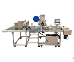 Automatic Carton Labeling Machine