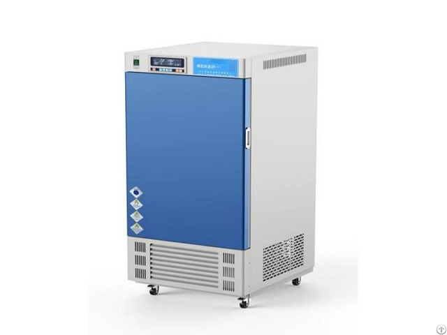 Ryconstant Temperature Humidity Chamber