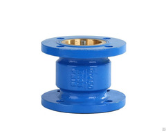 Silent Check Valves