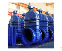 Resilient Gate Valve
