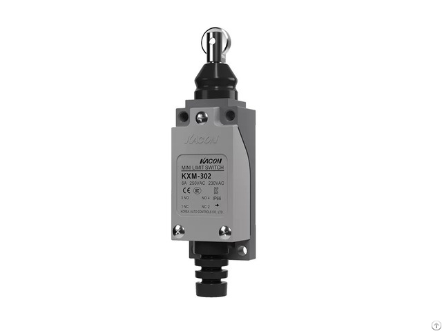 Limit Switch