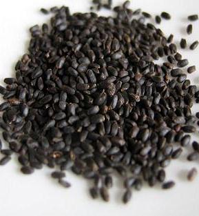 Basil Seeds Agriculture Product