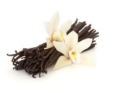 Vanilla Beans Agriculture Product