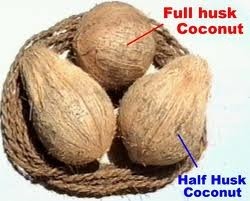 Husked Dehusked Coconuts