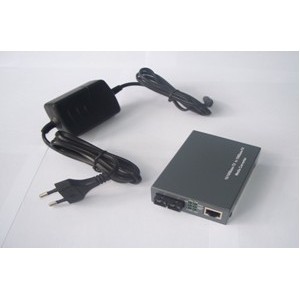 10 100m Ethernet Fiber Media Converters Double