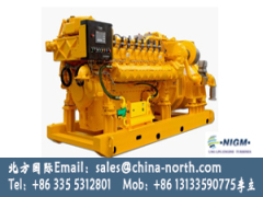 1000kw 3000kw Large Power Natural Gas Generator