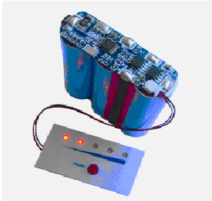 11 1v 18650 2200mah Li Ion Battery Packs