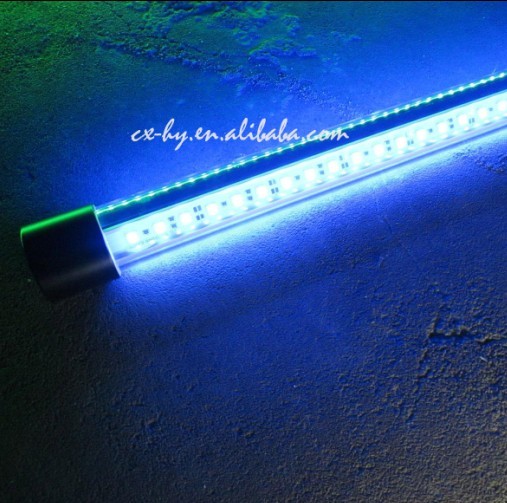 12v Ledunderwater Fishing Light