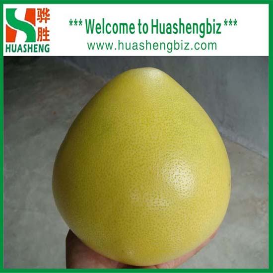 2013 Chinese New Crop Honey Pomelo With Excellent Quality