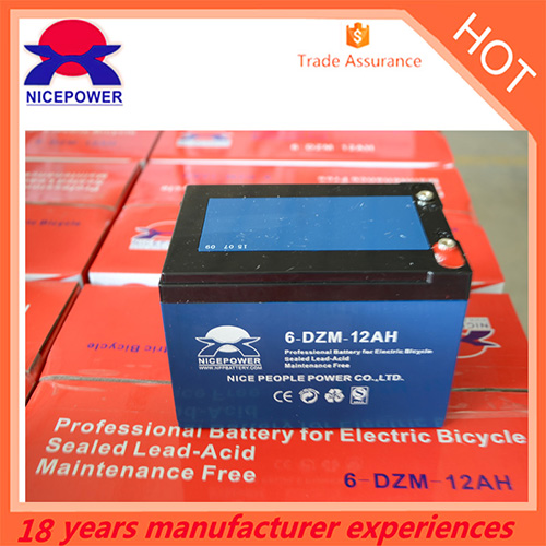 6 Dzm 12ah E Bike Battery