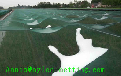 Anti Hail Net Prevents Damaging Crops