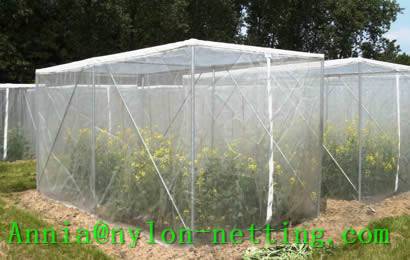 Anti Insect Net Separates Effectively Pest