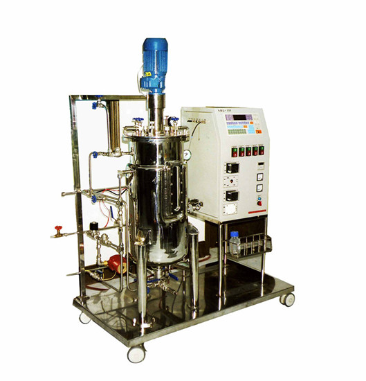 Automatic Mechanical Stirring Borosilicate Glass Bioreactor 4 22