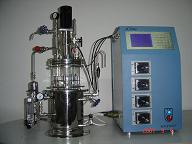 Automatic Mechanical Stirring Borosilicate Glass Bioreactor 5 15