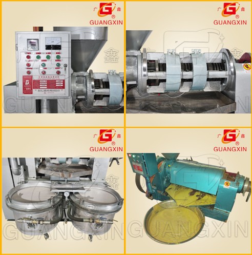 Automatic Temperature Controlled Combined Oil Press