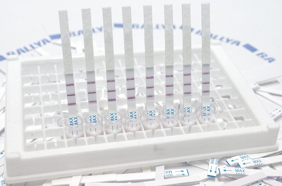 Betalactam Tetracycline Combo Test