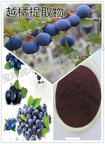 Bilberry P E Anthocyanidins 25 Uv