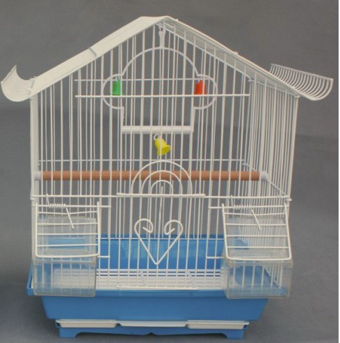 Bird Cage With High Quality