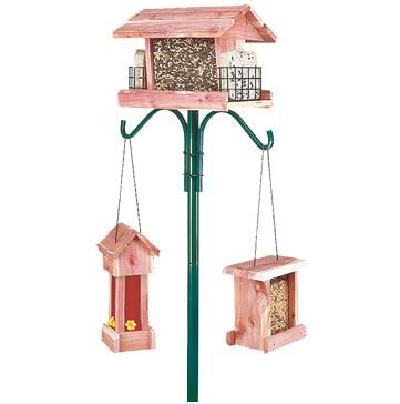 Bird Feeder Pole Plus Kit With Hangers