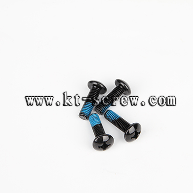 Black Nylok Laptop Screw With Iso Card