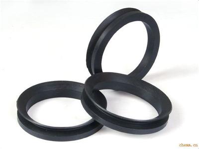 Burgmann Water Seals