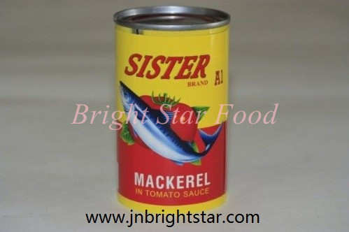 Canned Mackerel In Tomato Sauce