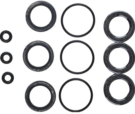 Cat Pump Seal Kit 30226