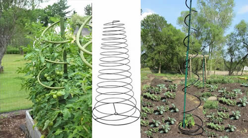 Cattle Panel Tomato Cages Are Sturdy And Easy To Pick Tomatoes