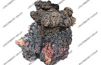 Chaga Mushroom Extract Polysaccharide