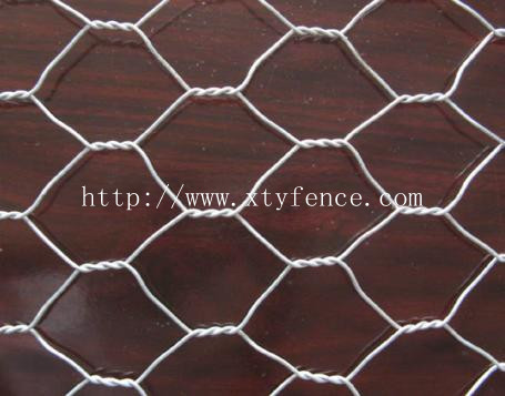 Chicken Coop Hexagonal Mesh