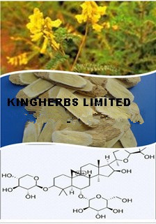 China Astragalus Extract