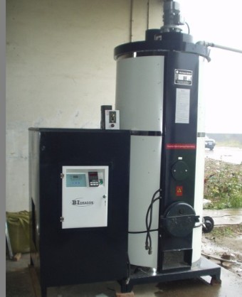 China Bidragon Wood Pellet Hot Water Boiler For Sale