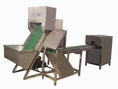 China Patent Onion Processing Machine