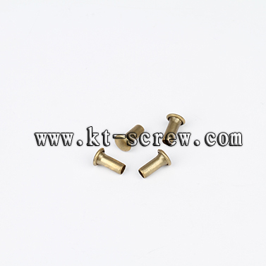 China Screw Manufacturer Of Hollow Rivet