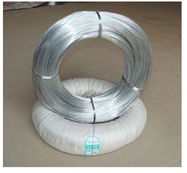 China Supplier Galvanized Wire