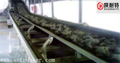 China Supply Heat Resisting Conveyor Belt