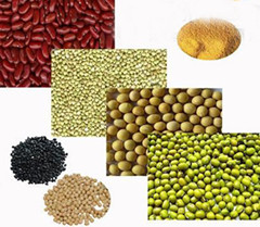 Coarse Grains Supply From Ningxia China