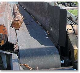 Conveyor System Belts The Log King Forestry