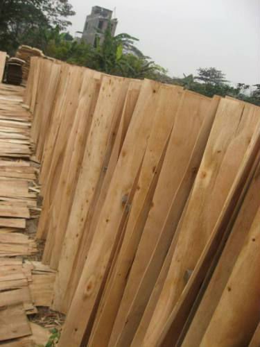 Core Veneer For Plywood Laminated Lumber