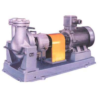 Crxr Hot Water Circulating Pump