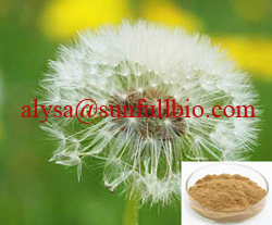 Dandelion Extract 4 Flavonoids