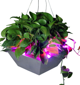 Decorative Led Flowerpot For Home Garden Hot Sale