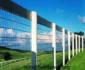 Diamond Mesh Horse Fencing