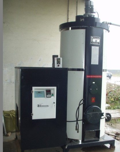 Domestic Pellet Fired Hot Water Boilers