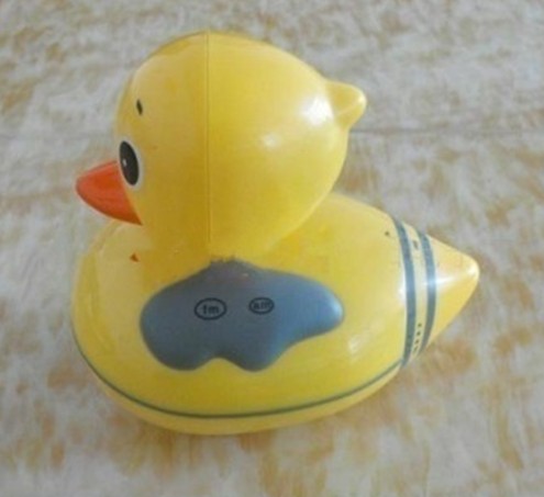 Duck Shower Radio Am Fm Water Proof