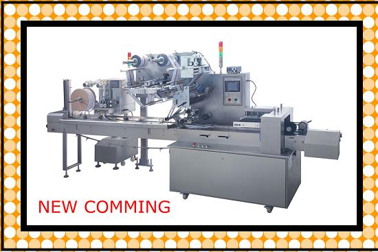 Dzp250e Pillow Packing Machine