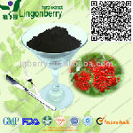 Elderberry Fruit Powder