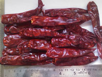 Endo 5 Stemless Red Chilli Type 1