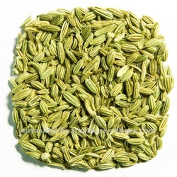 Fennel Seeds Foeniculum Vulgare